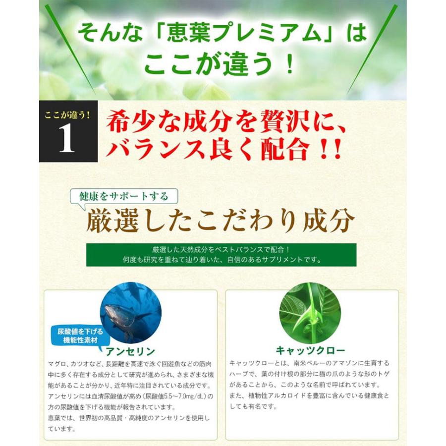 恵葉プレミアム1袋（90粒 約30日分）尿酸値を下げる「機能性表示食品