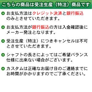 売れ筋特価品 【特注】【22年モデル】 ブリヂストンゴルフ 221CB アイアン5本セット(#6〜9，PW) [N.S.プロ モーダス3 ツアー115] スチールシャフト BRIDGESTONE GOLF IRON