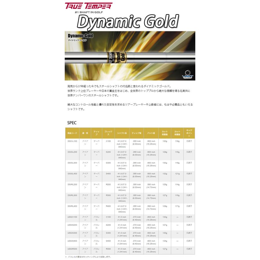 スーパーSALE限定 【特注】【22年モデル】 ブリヂストンゴルフ 221CB アイアン5本セット(#6〜9，PW) [ダイナミックゴールド] スチールシャフト BRIDGESTONE GOLF IRON Dynamic Gold