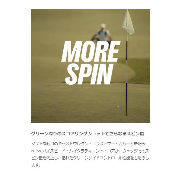Titleist（タイトリスト） 数量限定特典付 2ダースセット ゴルフ