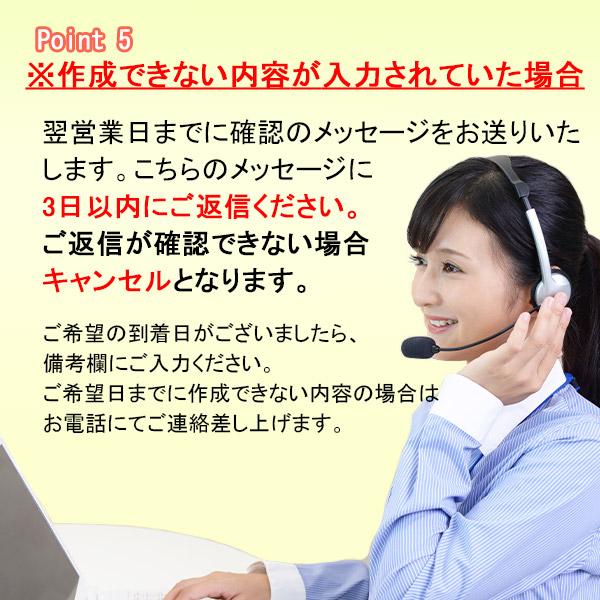 名入れ ゴルフボール ソッコーオウンネーム プロV1 AIM Enhanced V1X レフトダッシュ 2025年 タイトリスト 1ダース 12球 1〜3営業日発送 ラッピング titleist | Titleist | 09