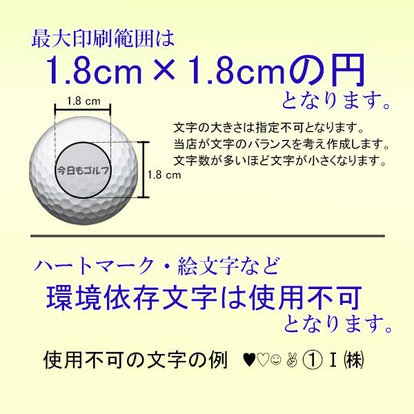 名入れ ゴルフボール ソッコーオウンネーム プロV1 AIM Enhanced V1X レフトダッシュ 2025年 タイトリスト 1ダース 12球 1〜3営業日発送 ラッピング titleist | Titleist | 10