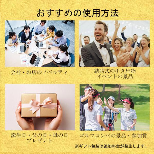 名入れ ゴルフボール ソッコーオウンネーム プロV1 AIM Enhanced V1X レフトダッシュ 2025年 タイトリスト 1ダース 12球 1〜3営業日発送 ラッピング titleist | Titleist | 13