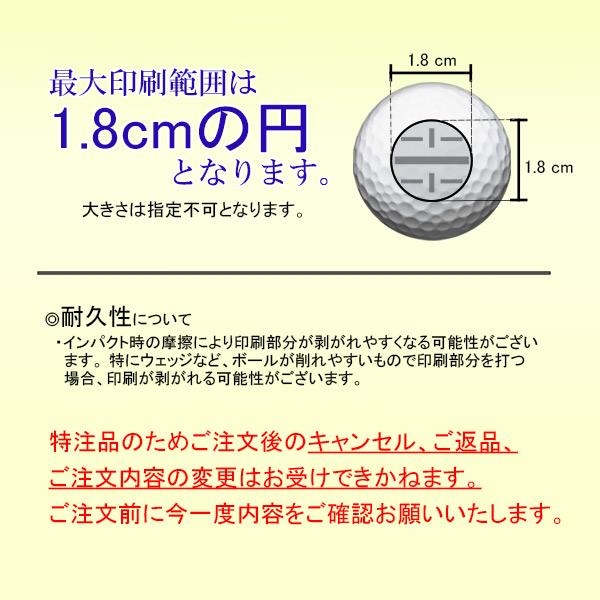 ライン入り ソッコーライン ゴルフボール タイトリスト プロV1 / プロV1X 25年モデル 1ダース 12球 1〜3営業日発送 titleist PRO 25B | BRIDGESTONE GOLF | 09
