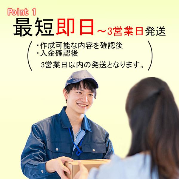 名入れ ゴルフボール ソッコーオウンネーム V1打ち比べセット プロ V1 / V1X / V1Xレフトダッシュ タイトリスト 1ダース 12球 ラッピング のし対応 AVX 25B | Titleist | 02