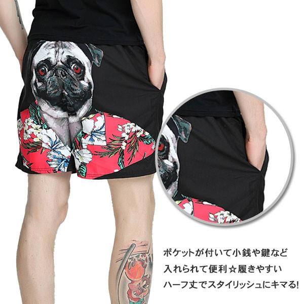 猛闘犬丸　サーフパンツ ブランド］サーフ | Diving＆Snorkeling AQROS