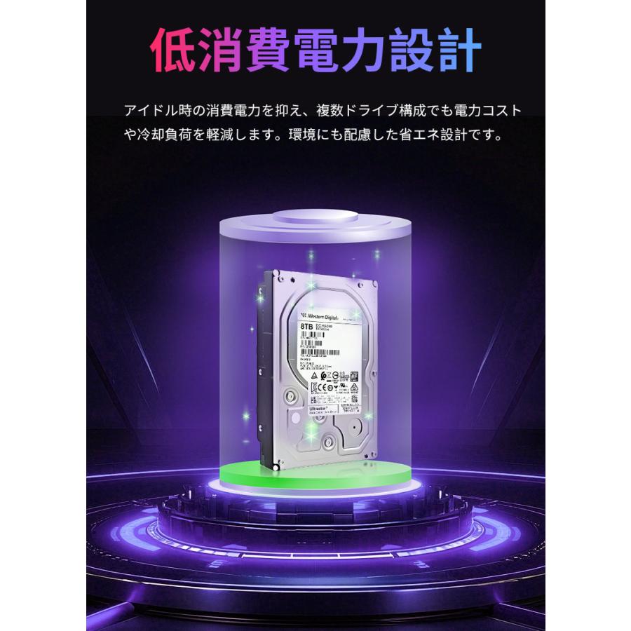 Western Digital（ウエスタンデジタル） Western Digital Ultrastar DC