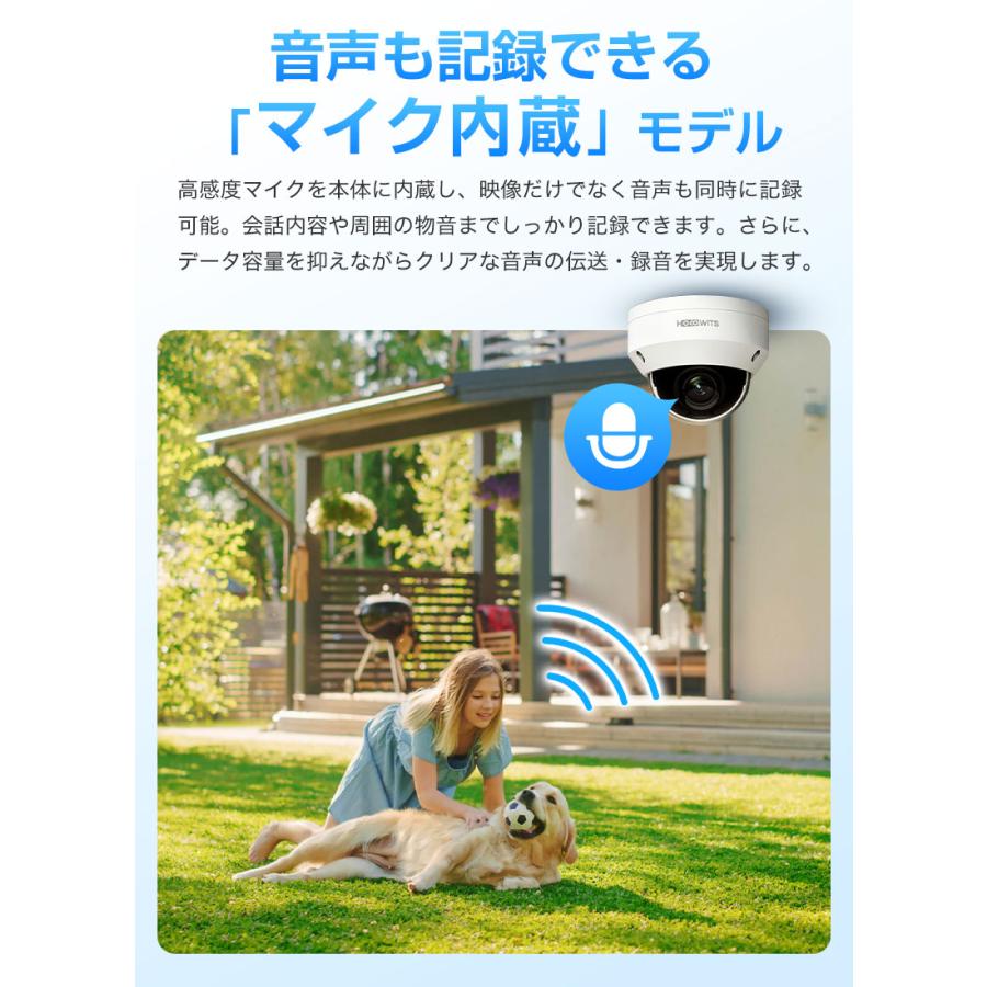 HOLOWITS ドーム型防犯カメラ 屋内/屋外 400万画素 高画質 2.8mm広角 