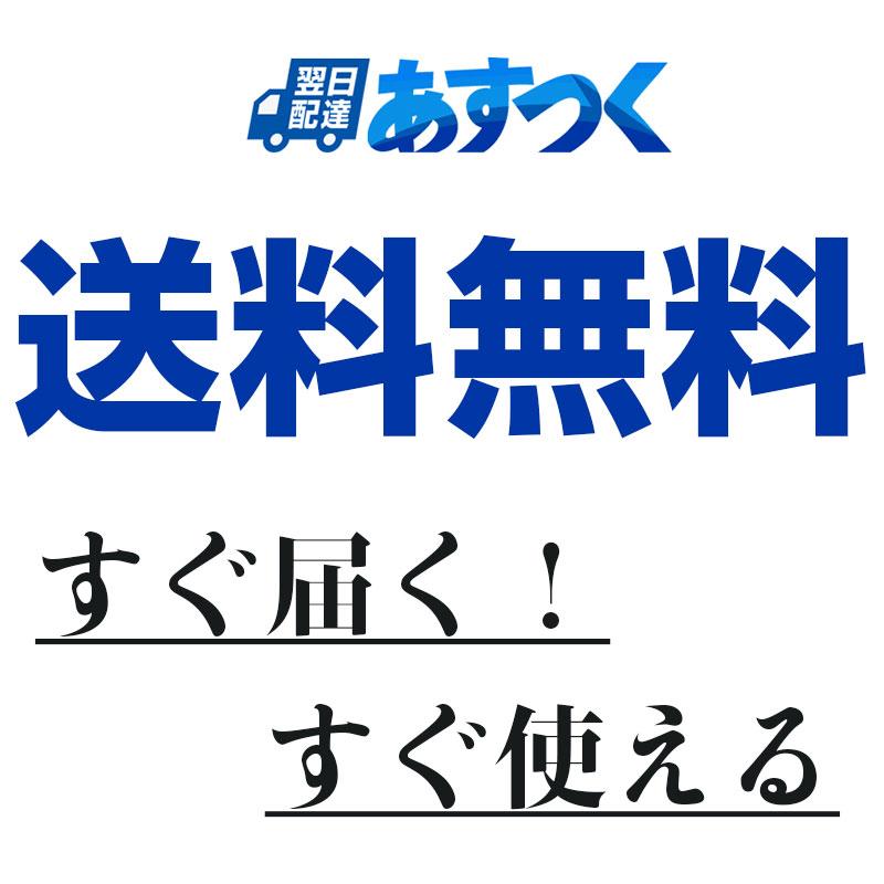 KIOXIA USBメモリ64GB Kioxia USB3.2 Gen1 日本製 LU301L064GC4 KIOXIA USBメモリ64GB Kioxia USB3.2 Gen1 日本製 LU301L064GC4