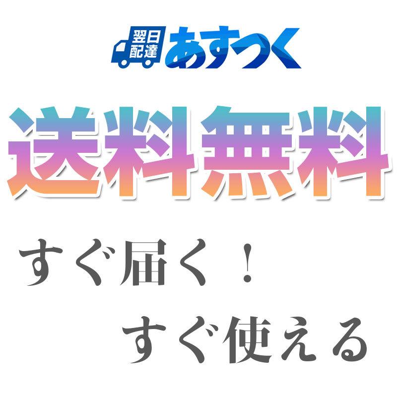 USBメモリ128GB Kioxia USB3.2 Gen1 日本製 LU301W128GC4 並行輸入品 翌日配達 送料無料 | KIOXIA | 09