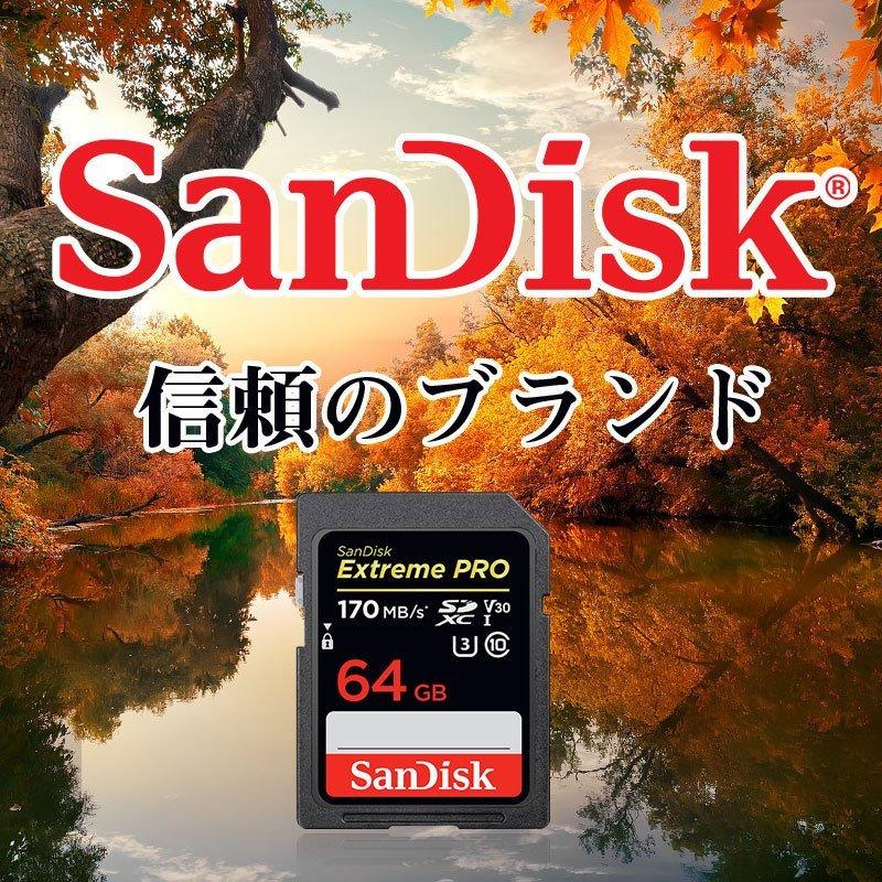 2個セット SDカード SanDisk Extreme Pro UHS-I U3 SDXCカード 64GB class10超高速170MB/s V30 4K Ultra HD対応海外向けパッケージ品 翌日配達SA1409XXY-2P｜jnh｜02