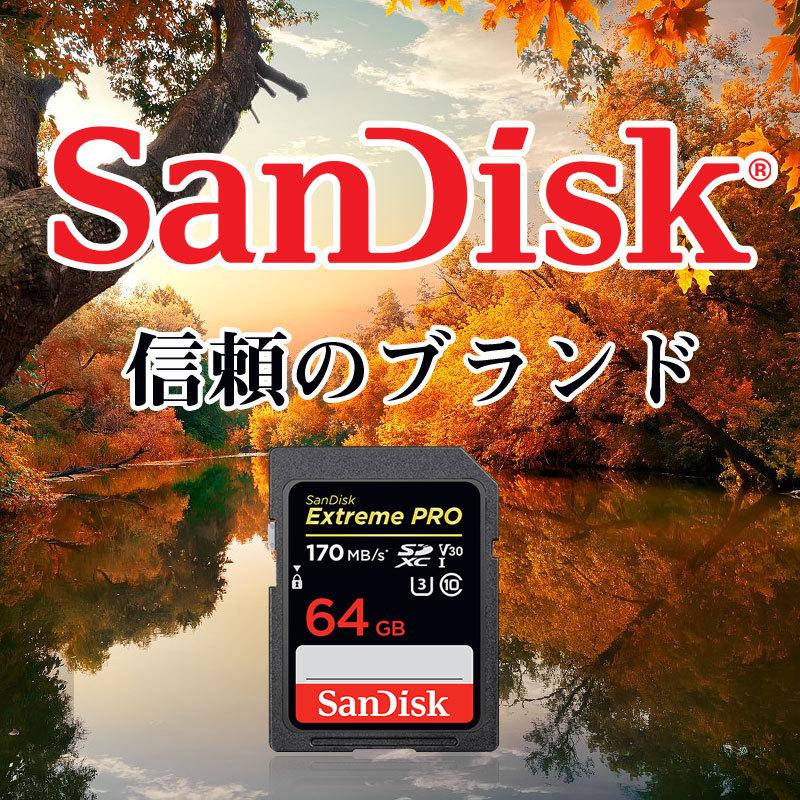 SDカード 翌日配達 SanDisk ExtremePro UHS-I U3 SDXCカード 64GB class10 170MB/s V30 4K Ultra HD対応SDSDXXY-064G-GN4IN海外パッケージSA1409XXY 送料無料｜jnh｜02