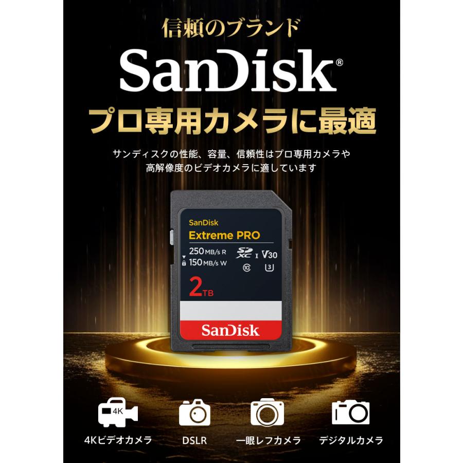 SanDisk SDカード SDXCカード 2TB UHS-I U3 V30 R:250MB/s W SanDisk SDカード SDXCカード 2TB UHS-I U3 V30 R:250MB/s W