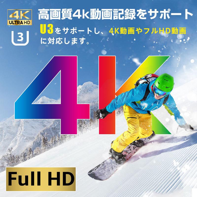 SanDisk マイクロsdカード microSDXC 128GB for Nintendo Switch