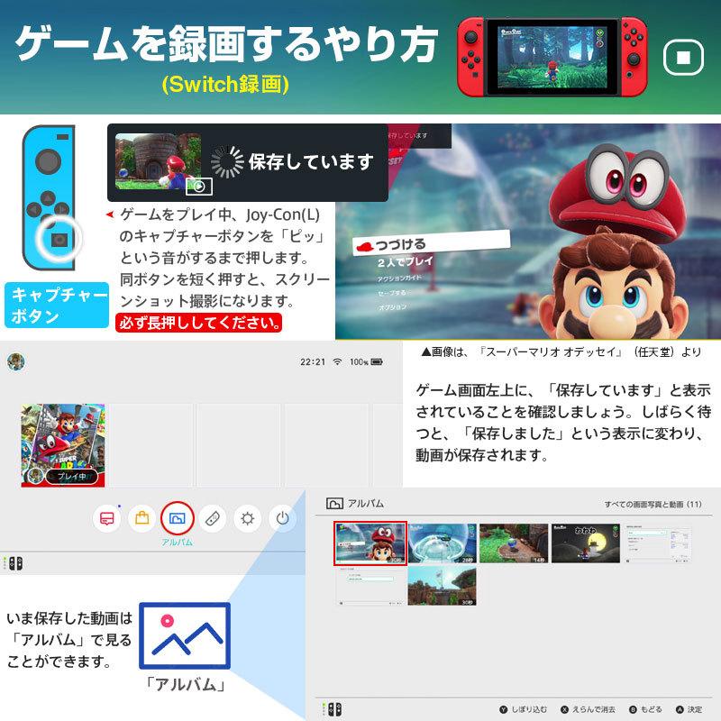 SanDisk マイクロsdカード microSDXC 128GB for Nintendo Switch