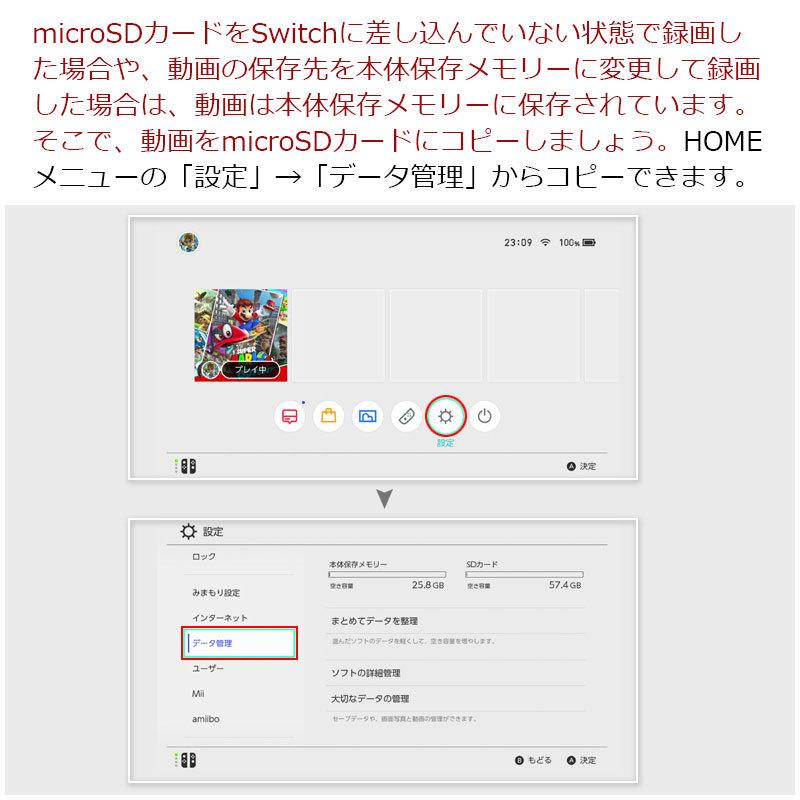 SanDisk マイクロsdカード microSDXC 128GB for Nintendo Switch SanDisk マイクロsdカード microSDXC 128GB for Nintendo Switch