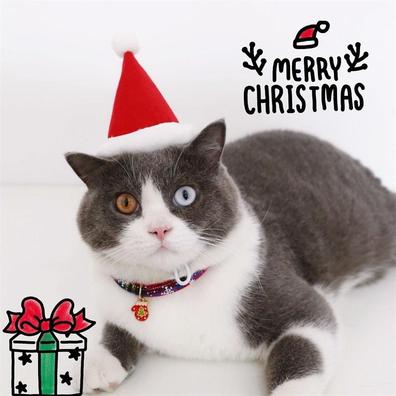 クリスマススタイ 猫 犬 クリスマス 帽子 小型犬 猫 サンタクロース ねこ ペット お誕生日 インスタ映え 服 かわいい おしゃれ ペット用品 人気 安い｜jnjn｜05