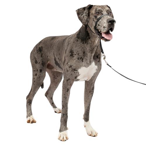 PetSafe ペットセーフ ジェントルリーダー ヘッドカラー クイック