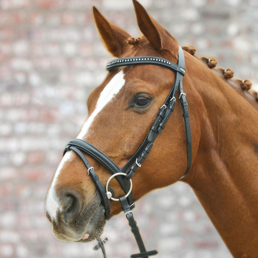 レザー水勒頭絡 手綱セットwbra1 黒ブラック ラインストーン額革 本革 本皮 馬具 乗馬用品 Pls D046 Wbra1 乗馬用品プラス 通販 Yahoo ショッピング