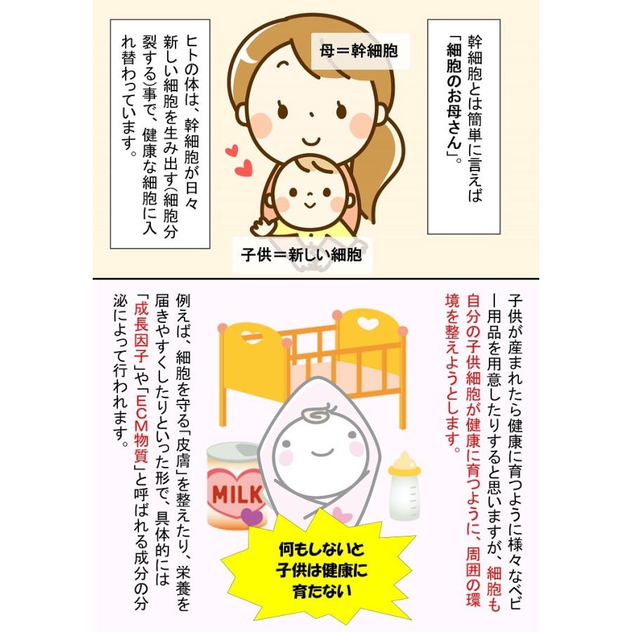 【ヒト幹細胞エキス15％配合】SMPL セルポテンシャル  / ヒト幹細胞培養液 美容液 ハリ くすみ 乾燥 |  | 02