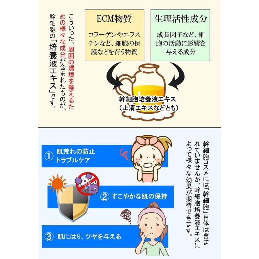 【ヒト幹細胞エキス15％配合】SMPL セルポテンシャル  / ヒト幹細胞培養液 美容液 ハリ くすみ 乾燥 |  | 03