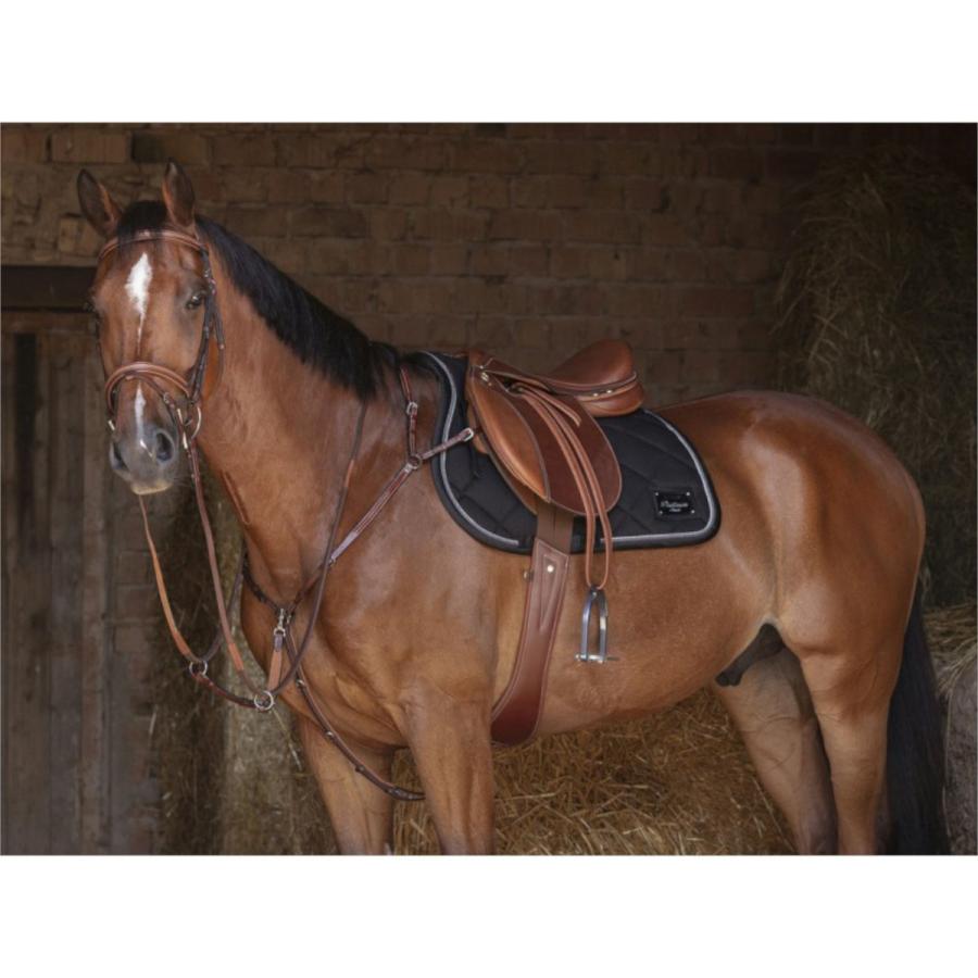 乗馬 手綱 胸ガイ EKKIA エリック トーマス ハイブリッド 乗馬用品 