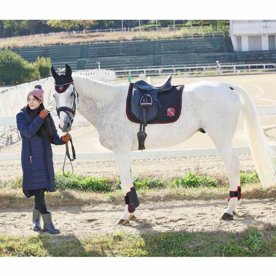 乗馬 ゼッケン サドルパッド EQULIBERTA プロト 乗馬用品 馬具 : 乗馬