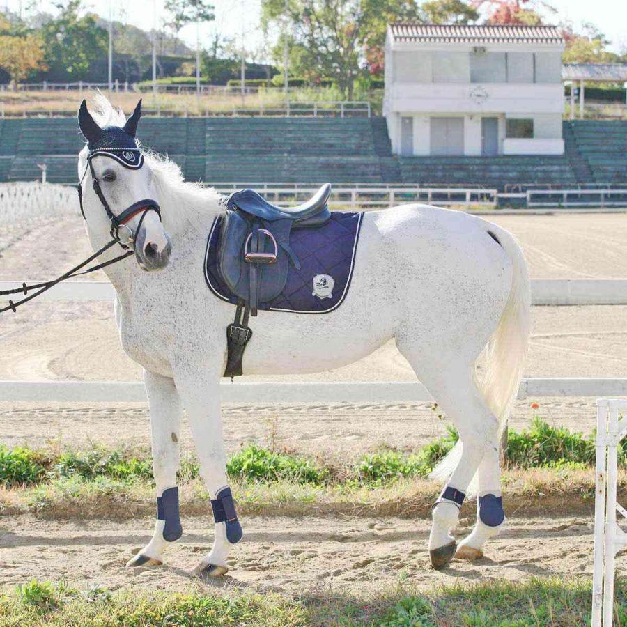乗馬 ゼッケン サドルパッド EQULIBERTA プロト 乗馬用品 馬具 : 乗馬