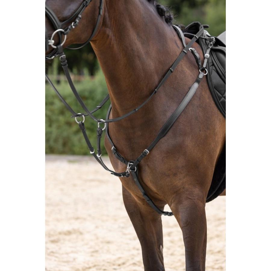 Covalliero 本革 乗馬用 胸ガイ カバリエロ 乗馬用品ジョセス : 乗馬
