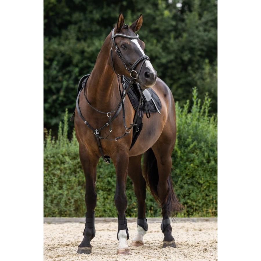 Covalliero 本革 乗馬用 胸ガイ カバリエロ 乗馬用品ジョセス : 乗馬