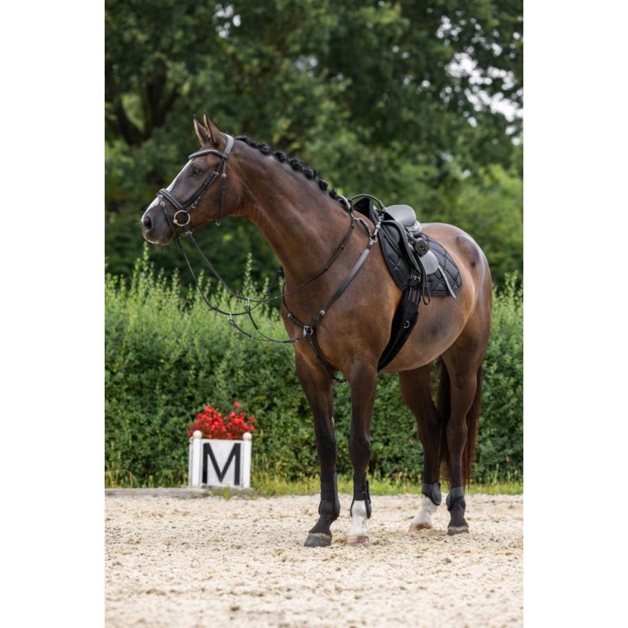 Covalliero 本革 乗馬用 胸ガイ カバリエロ 乗馬用品ジョセス : 乗馬