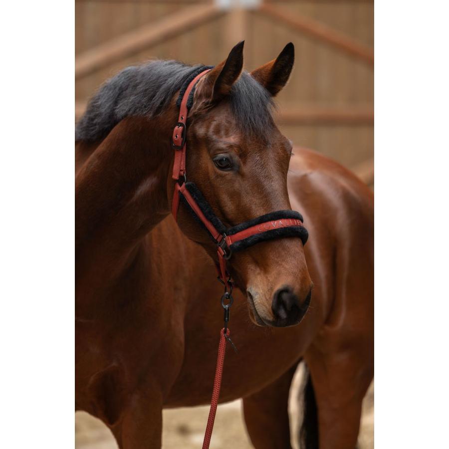 馬術　乗馬用品 Amazon.co.jp: 乗馬用品 horze エラスティック ベリーガード ポニー