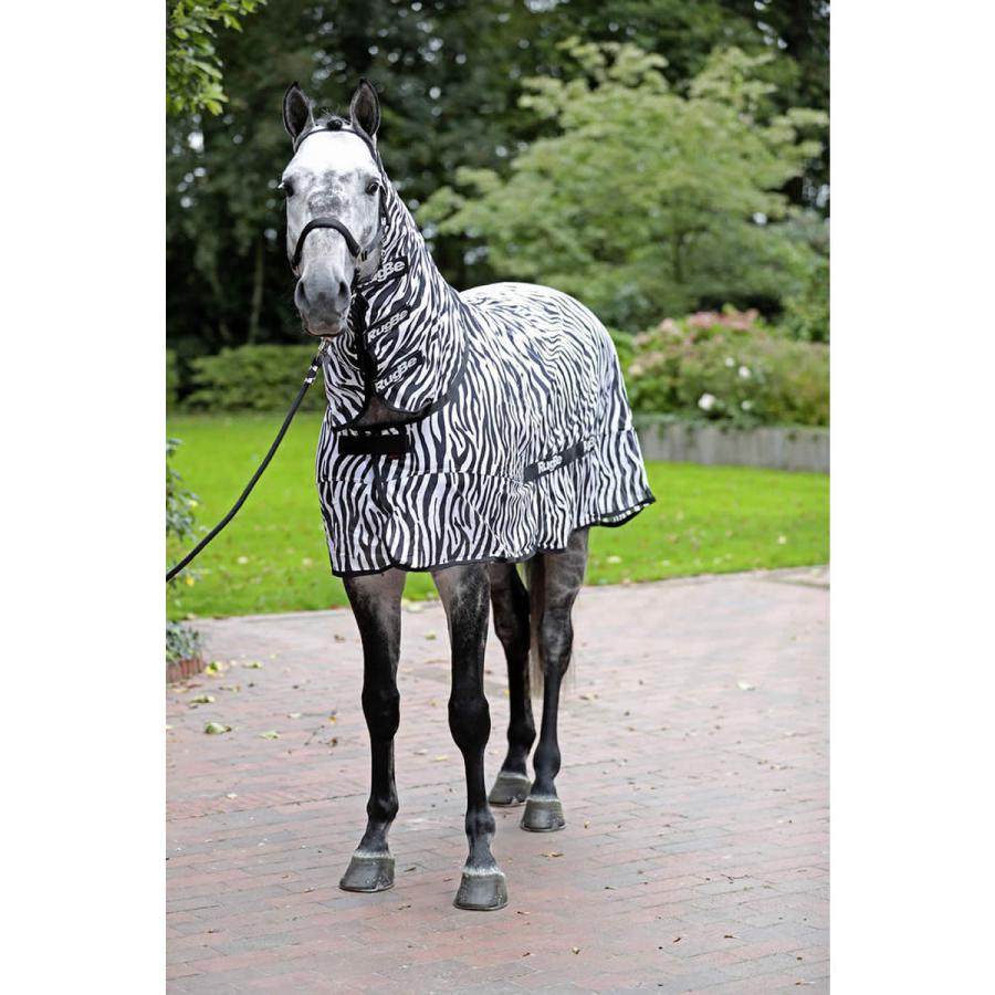 乗馬 馬着 Covalliero RugBe ゼブラ フライシート 乗馬用品 馬具 