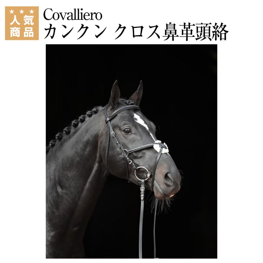 人頭馬 XO 目前類型・0.7 公升（RS419) Covalliero カンクン クロス鼻革 水勒頭絡 セット（手綱付き