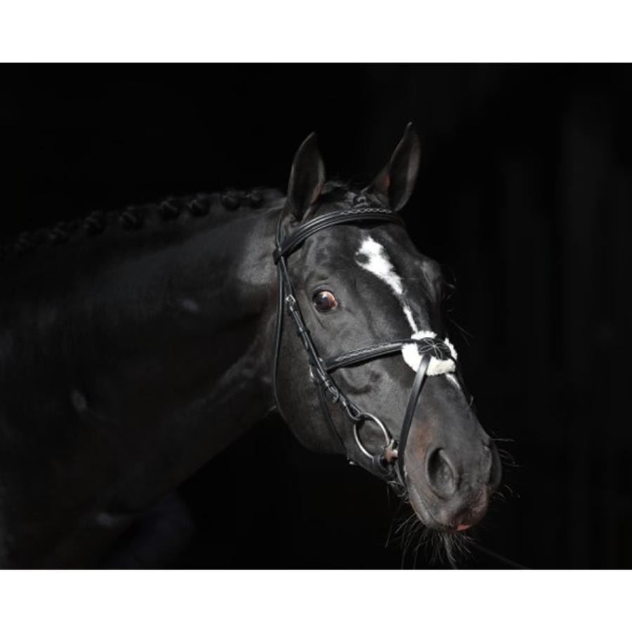 乗馬 頭絡 額革 Covalliero カンクン クロス鼻革 水勒頭絡 セット