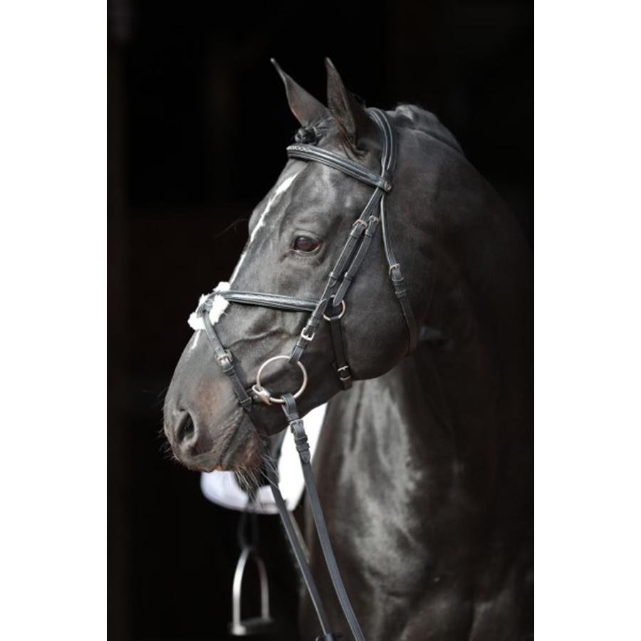 乗馬 頭絡 額革 Covalliero カンクン クロス鼻革 水勒頭絡 セット