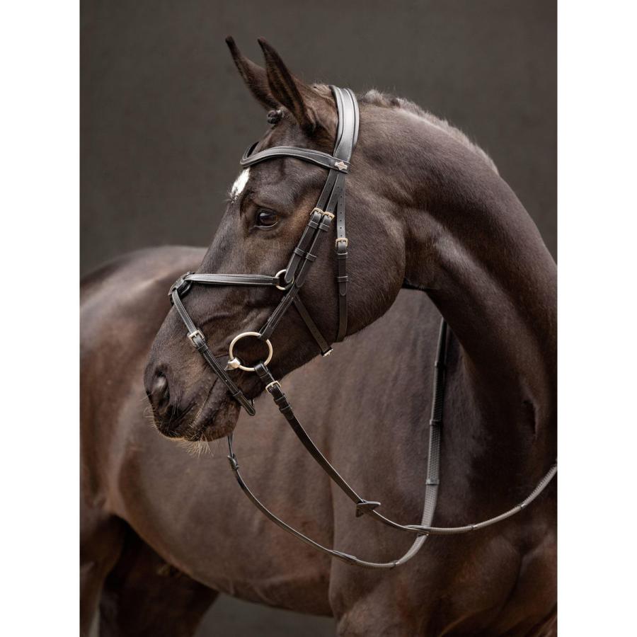 乗馬 頭絡 額革 LeMieux アリカ クロス鼻革 水勒頭絡 乗馬用品 馬具 
