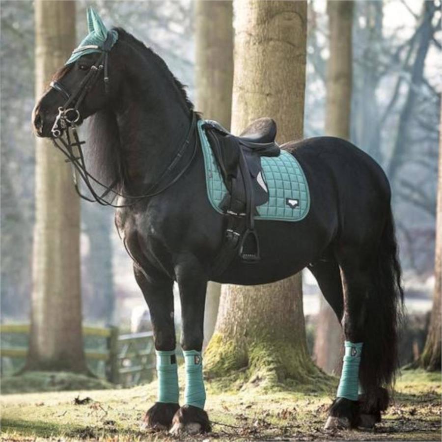 LeMieux ロワール クラシック ドレサージュ スクエア サドルパッド 乗馬 ゼッケン サドルパッド 乗馬用品 馬具 :LM-HA-4460: 乗馬用品専門店ジョセス ヤフー店 - 通販 - Yahoo!ショッピング LeMieux ロワール クラシック ドレサージュ スクエア サドルパッド 乗馬 ゼッケン サドルパッド 乗馬用品 馬具 :LM-HA-4460: 乗馬用品専門店ジョセス ヤフー店 - 通販 - Yahoo!ショッピング