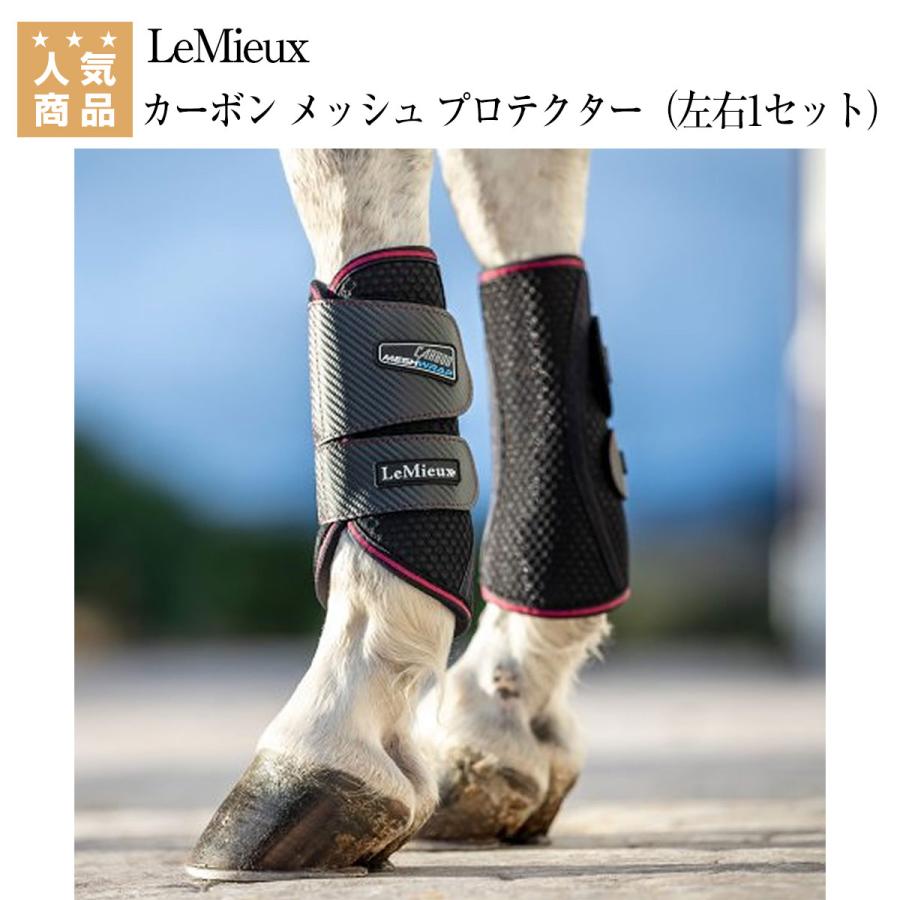 乗馬 プロテクター LeMieux カーボン メッシュ プロテクター（左右1 