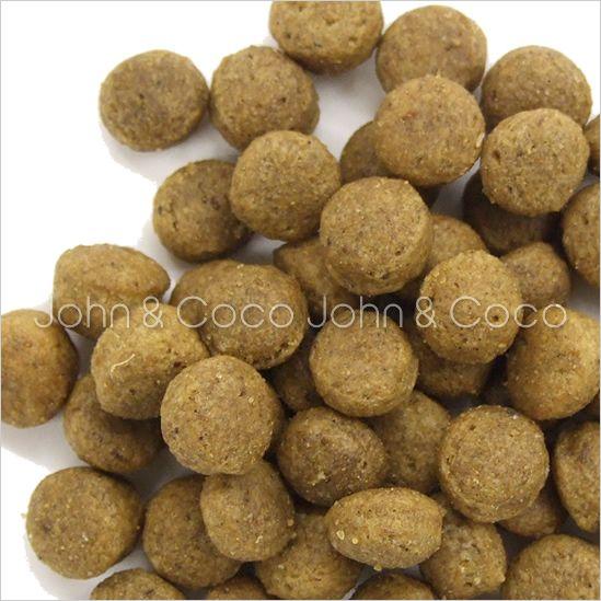 アーガイルディッシュ グレヴィレアアダルト-4kg : 犬と猫の