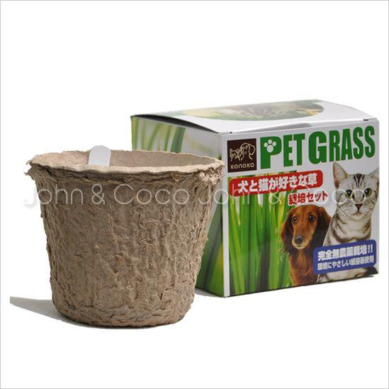 犬と猫が好きな草 栽培セット 猫草 毛玉 簡単 種まき済 国産 | 