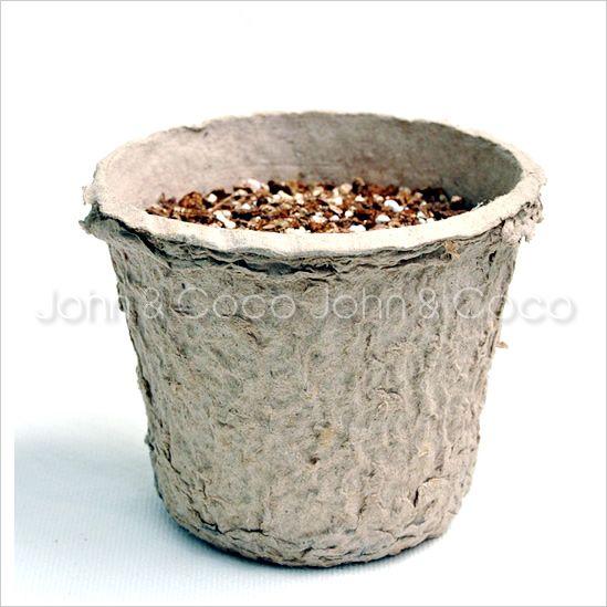 犬と猫が好きな草 栽培セット 猫草 毛玉 簡単 種まき済 国産 |  | 01