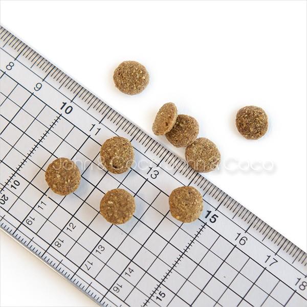 Kia Ora バックトゥベーシックス キアオラ ドッグフード グラス