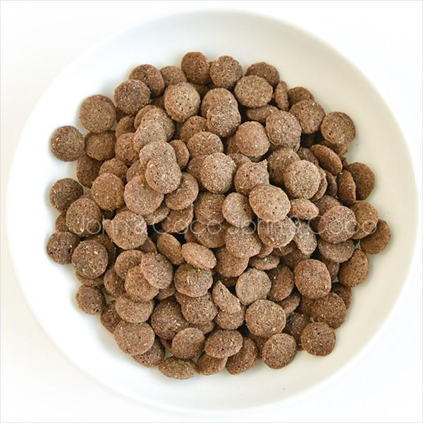 Kia Ora バックトゥベーシックス キアオラ ドッグフード カンガルー