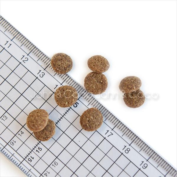 Kia Ora バックトゥベーシックス キアオラ ドッグフード カンガルー