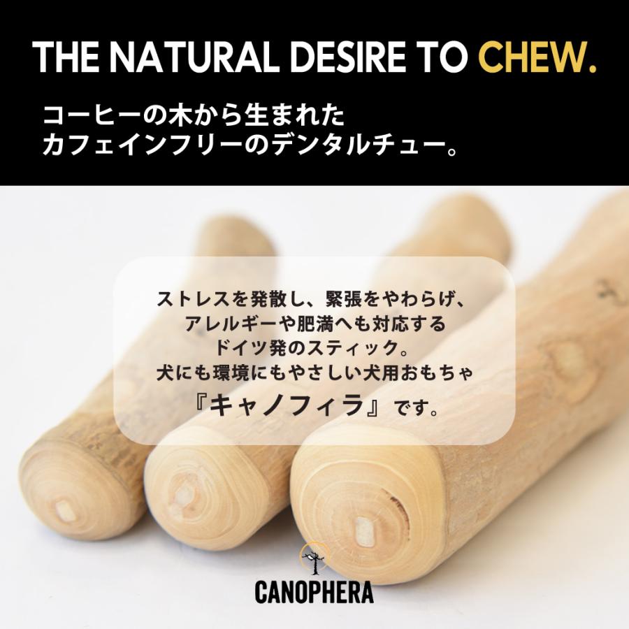 キャノフィラ DOG デンタルチュー M 犬用 おもちゃ 噛む コーヒーの木