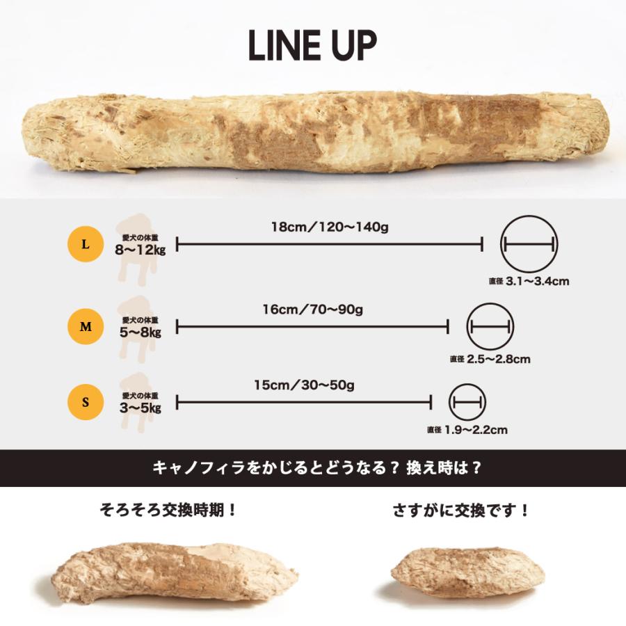 キャノフィラ DOG デンタルチュー M 犬用 おもちゃ 噛む コーヒーの木