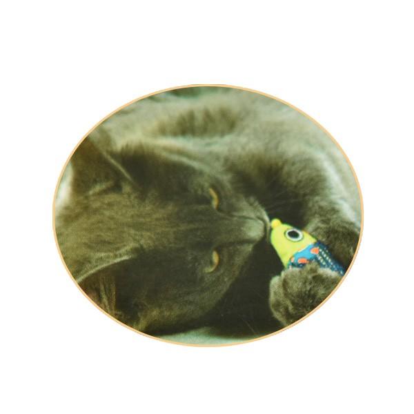 デンタル・チューマウス 【数量限定品】 猫のおもちゃ キャット トイ 犬と猫のJohnCoco'ジョンココ' - 通販 - PayPayモール