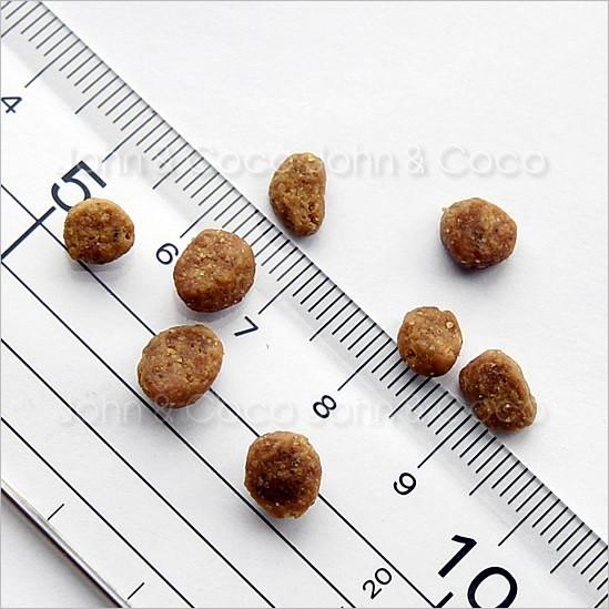 GATHER(Petcurean) ギャザー キャット フリーエーカー 454g GATHER(Petcurean) ギャザー キャット フリーエーカー 454g