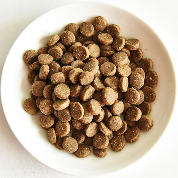 ゴー カーニボア グレインフリー チキンターキー ダック パピー 100g ドックフード 犬と猫のjohn Coco ジョン ココ 通販 Paypayモール